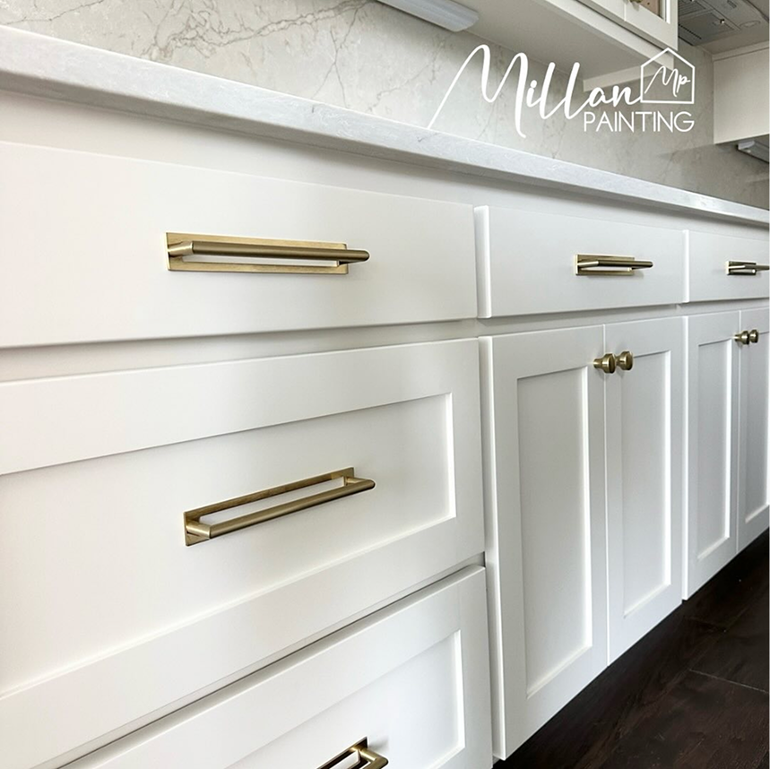 cabinet-painting interior